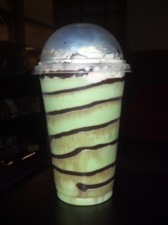 Arby's Mint Chocolate Swirl